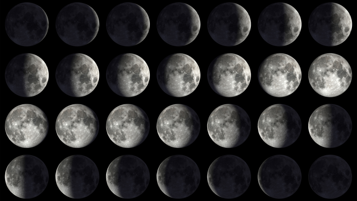Fishing According to Phases of the Moon, An In-Depth Look