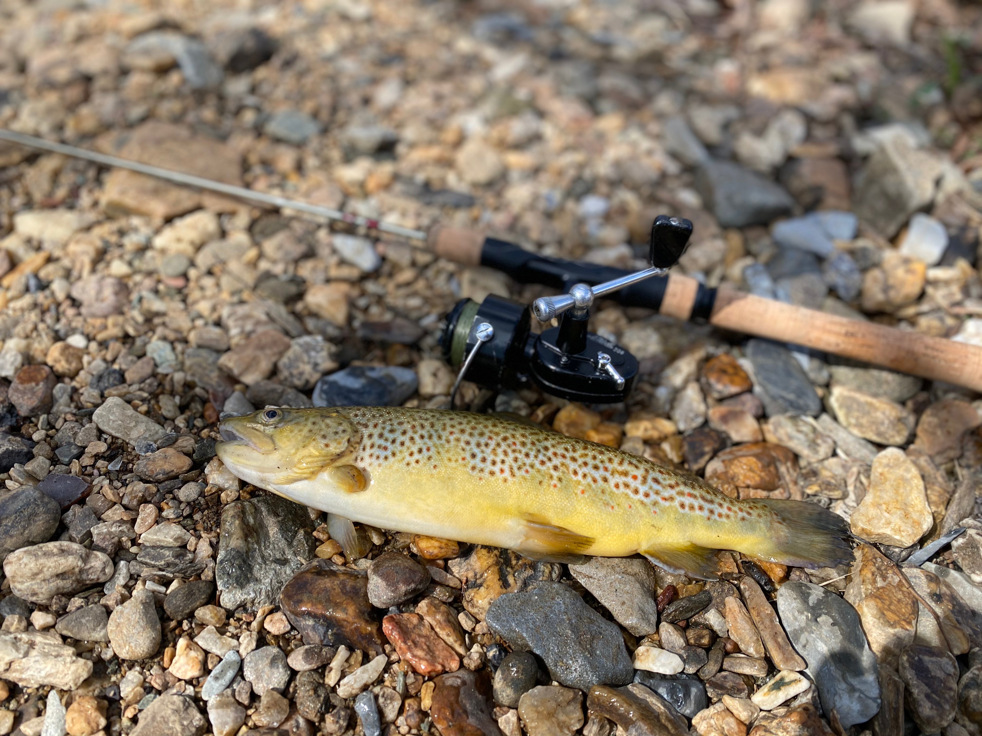Vintage Spinning Reels