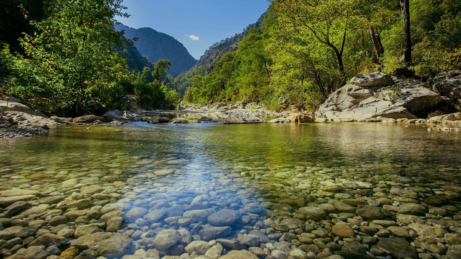 river fishing spot