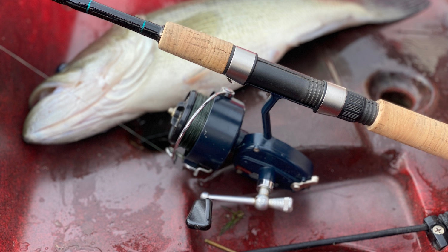 Vintage Fishing All