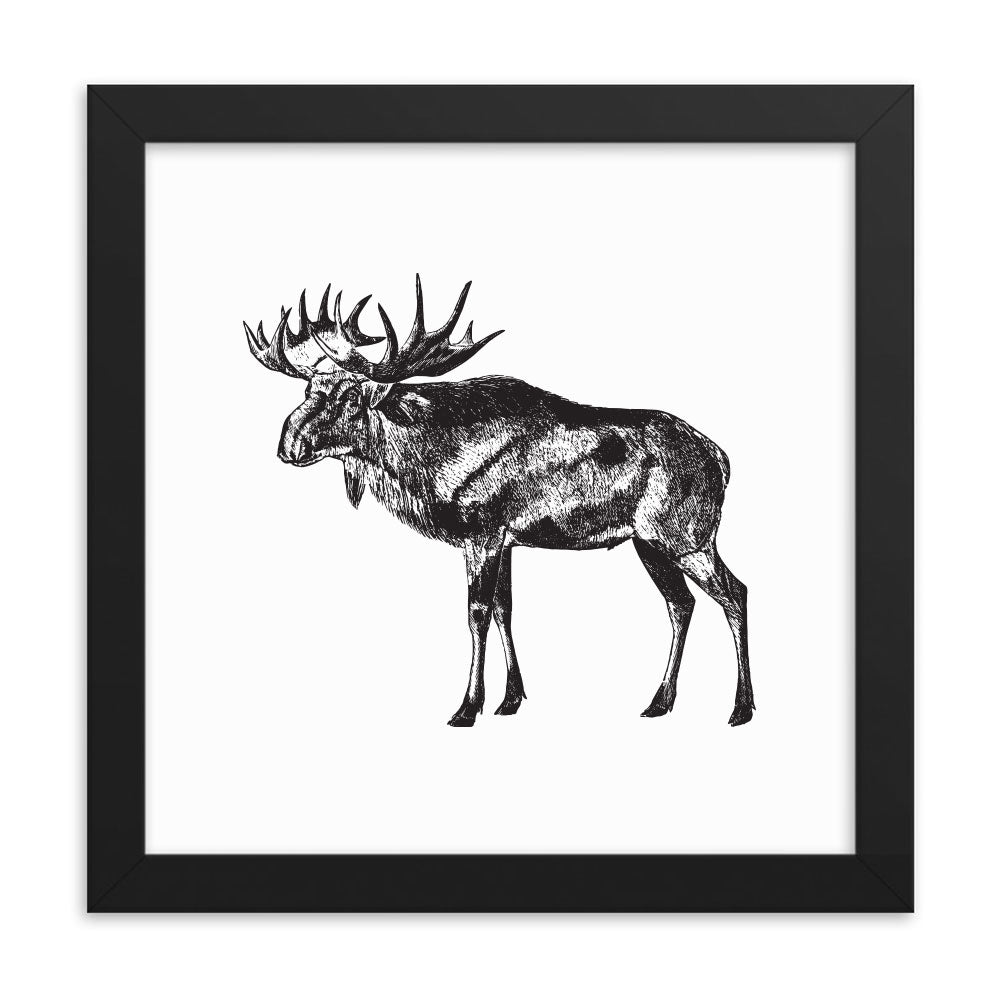 Rustic Moose Naturalist Print