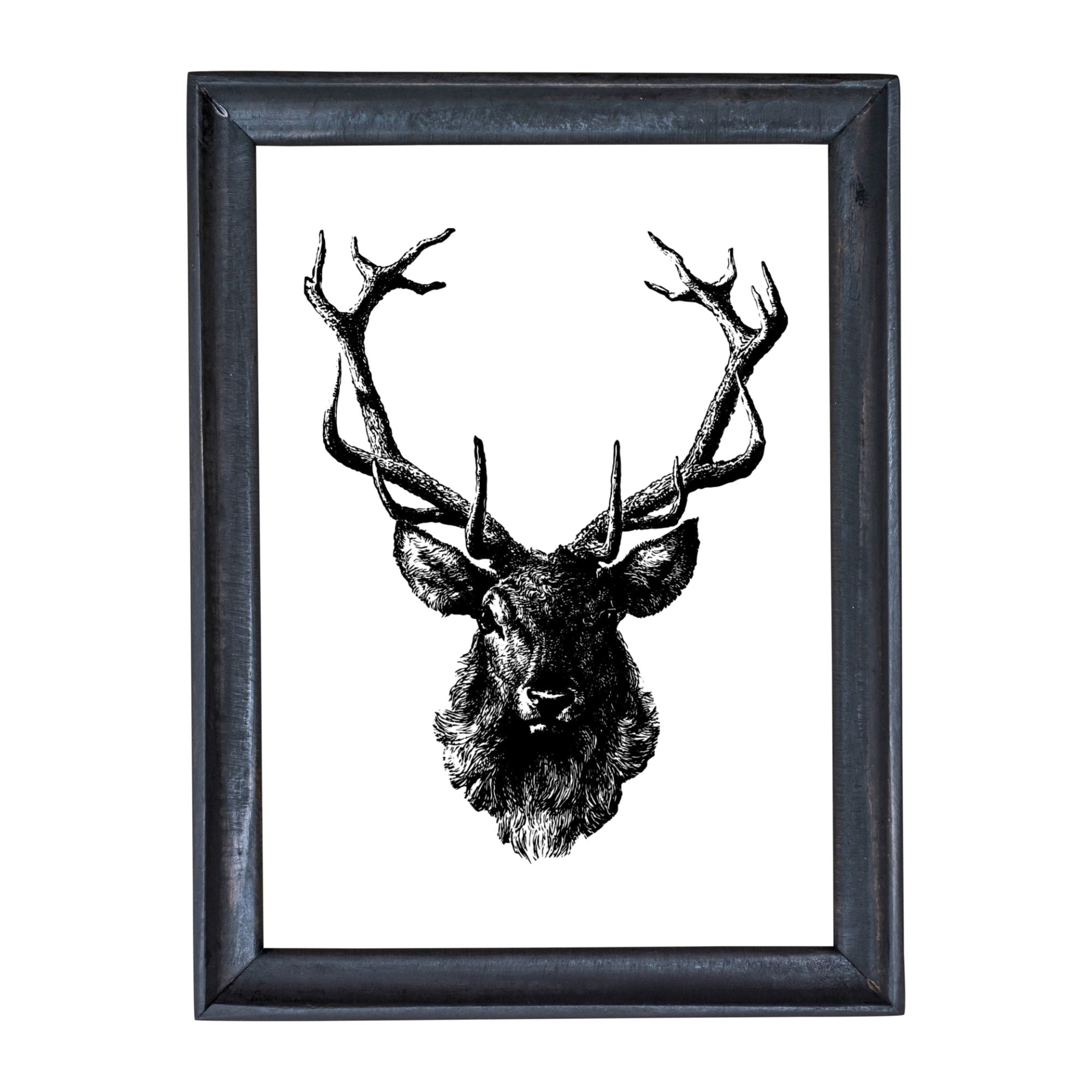 Red Stag Mount Vintage Outdoorsman Hunting Art Print