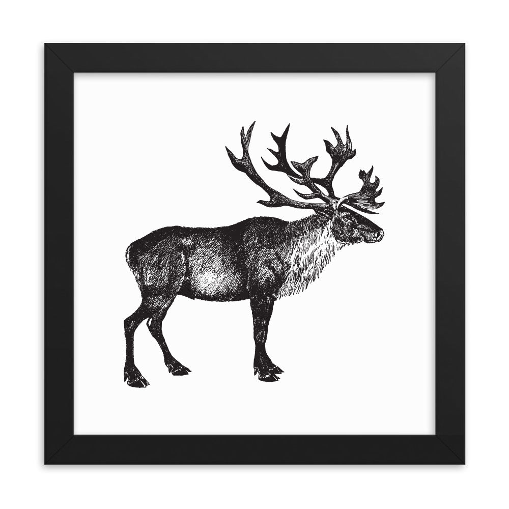 Rustic Caribou Naturalist Print