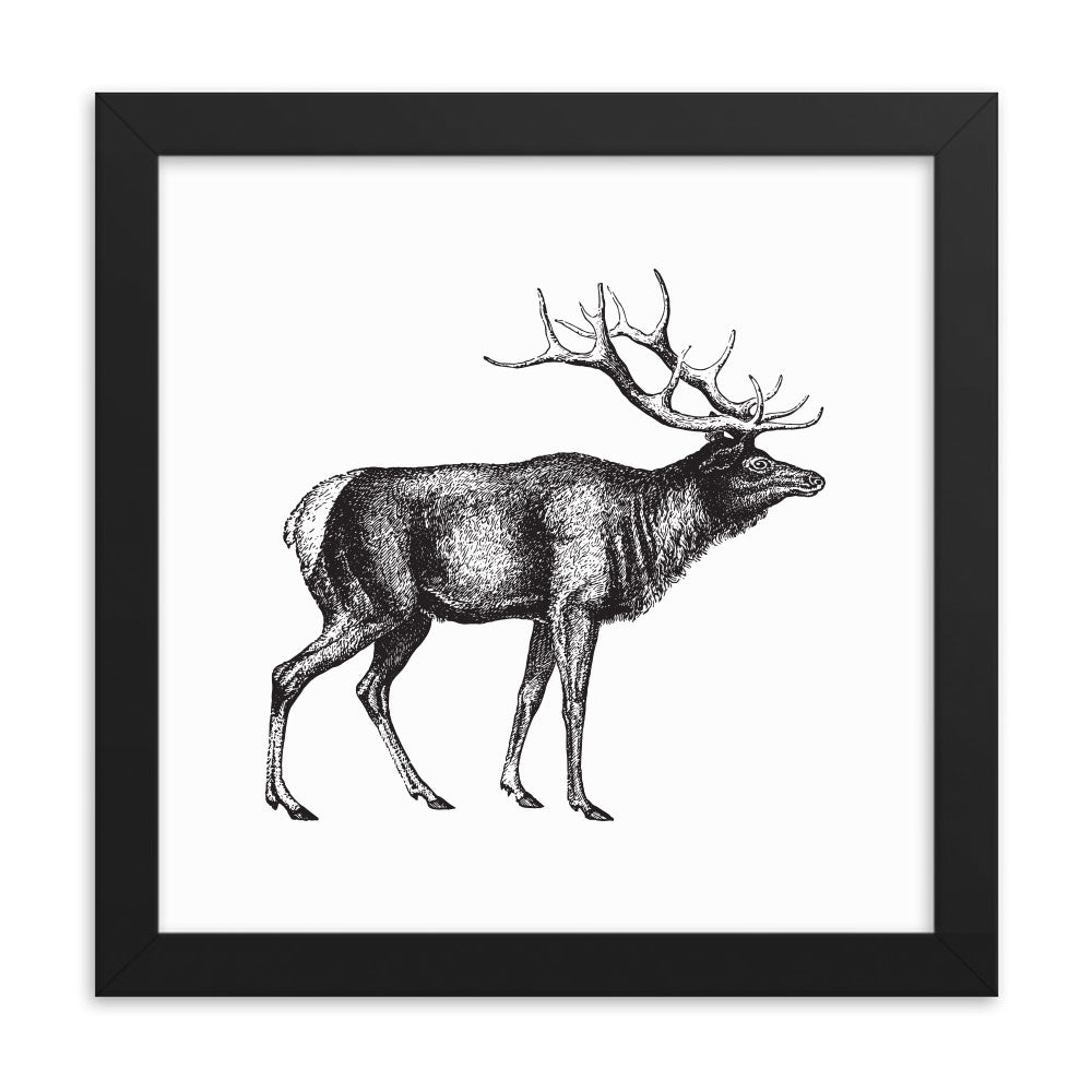 Rustic Elk Naturalist Print