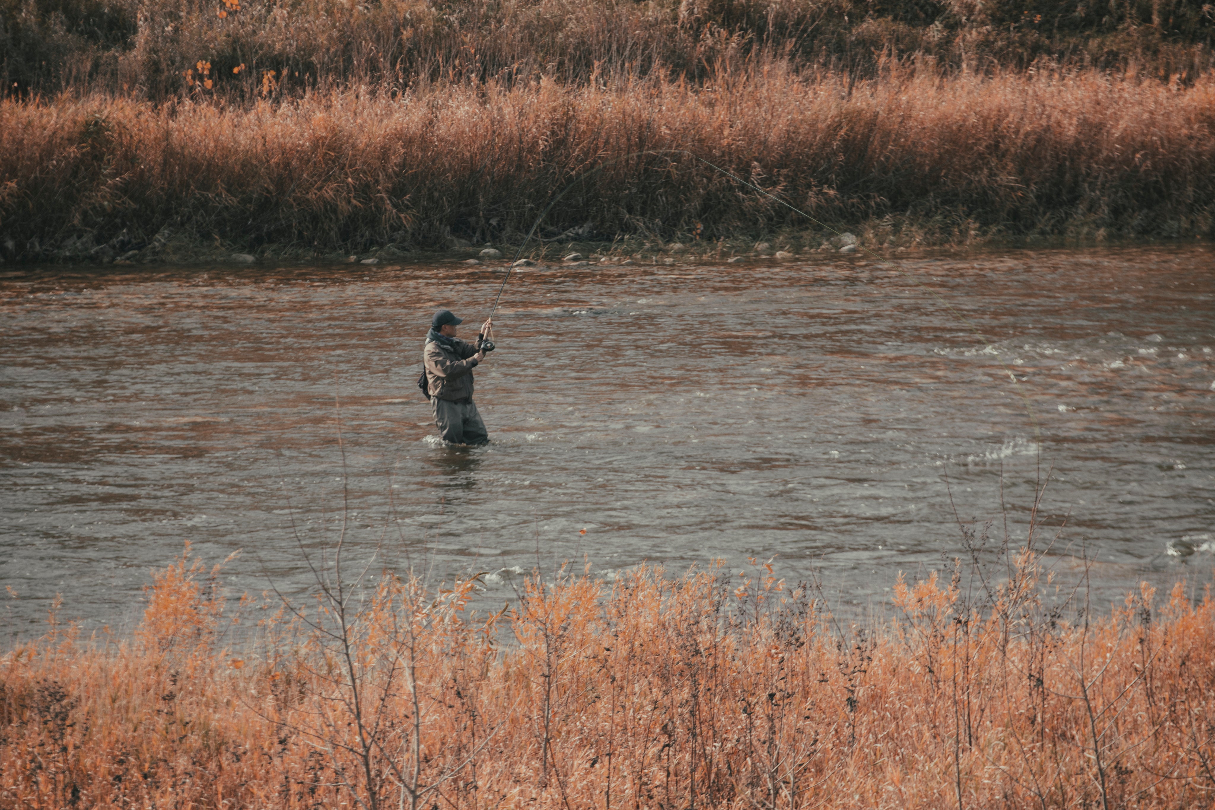 fisherman wading in a rushing river