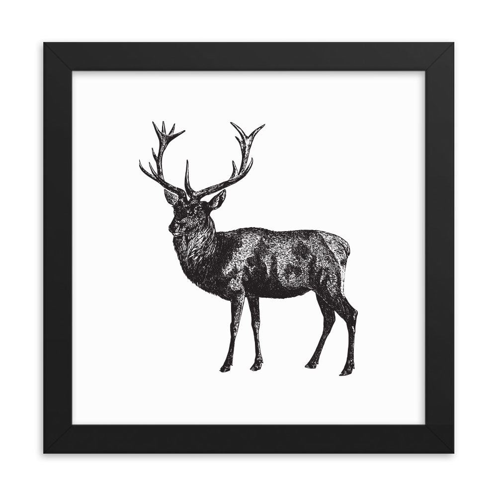 Rustic Red Stag Naturalist Print