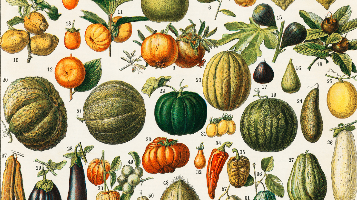 Winter Weather Predictions: Insights from The Old Farmer’s Almanac