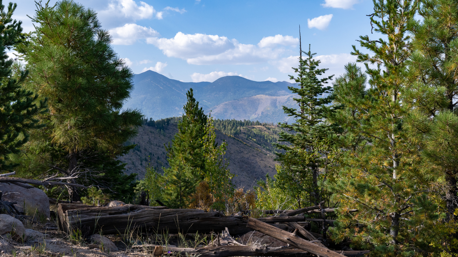 Great outdoors landscape showing the benefits of spending time in nature