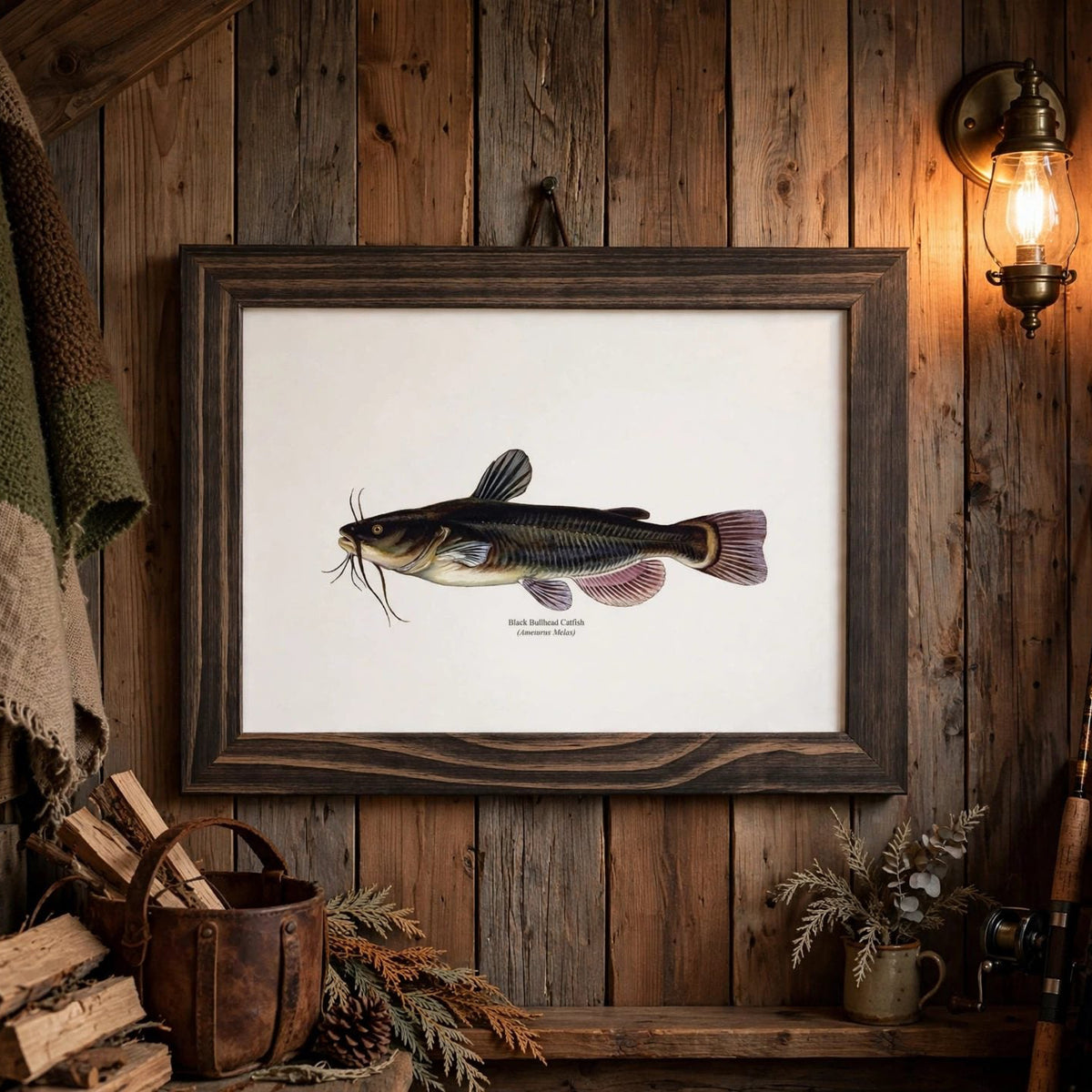 Black Bullhead Catfish Vintage Naturalist Print