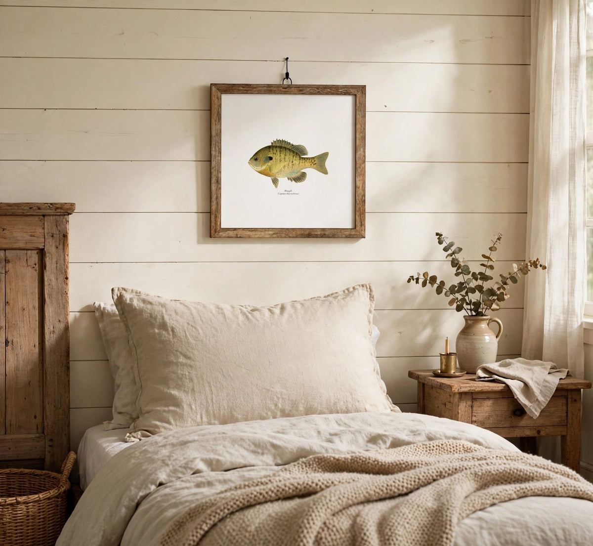 Bluegill Freshwater Fisherman Naturalist Print