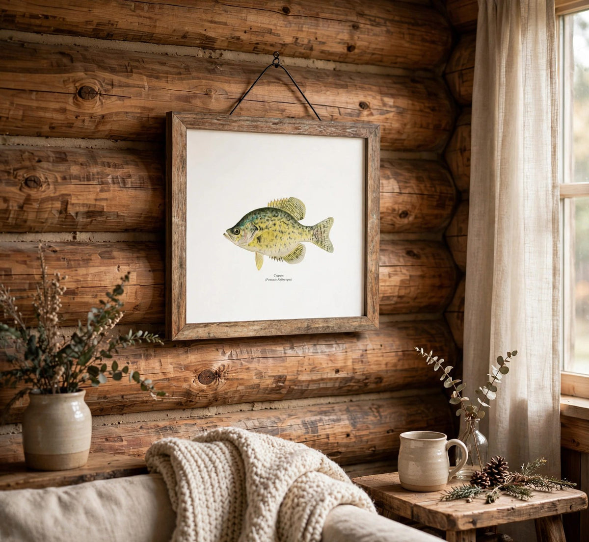 Crappie Freshwater Fisherman Naturalist Print