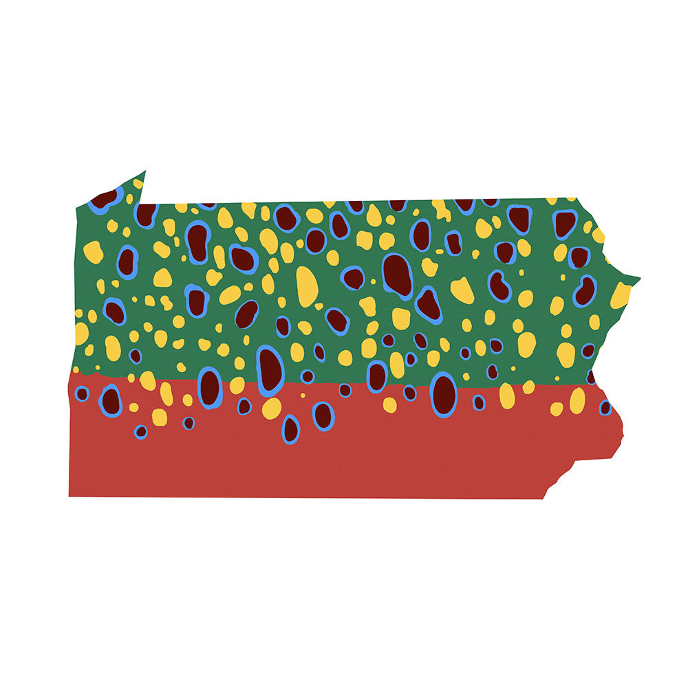 PA Outline Brook Trout T-shirt design