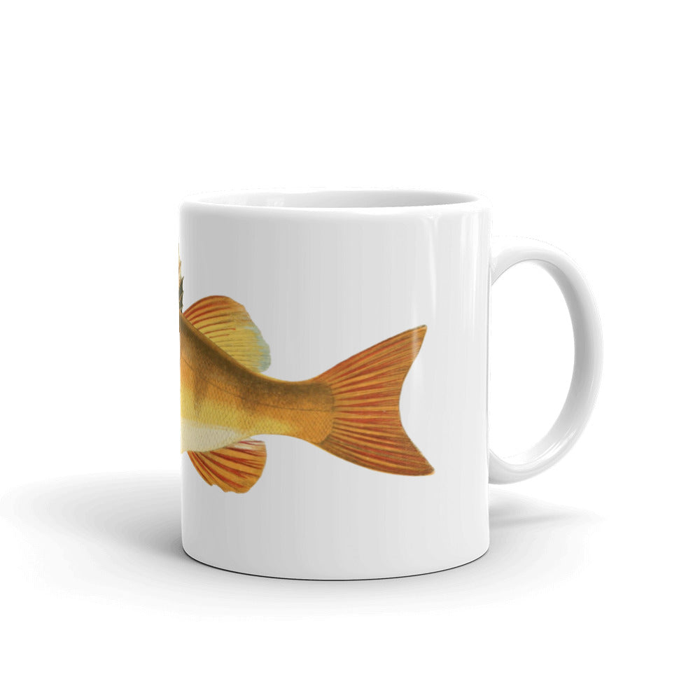 Sport Fishing Series Yellow Perch Coffee Mug | JBicklesbee